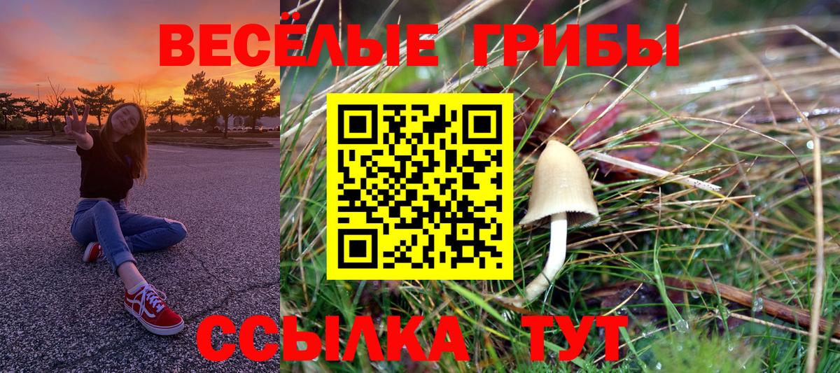 Галлюциногенные грибы Psilocybine cubensis  Вход с VPN  Троицк 